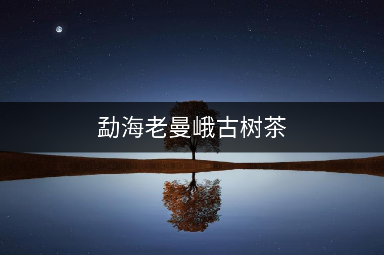 勐海老曼峨古樹茶 勐海老曼峨古樹茶