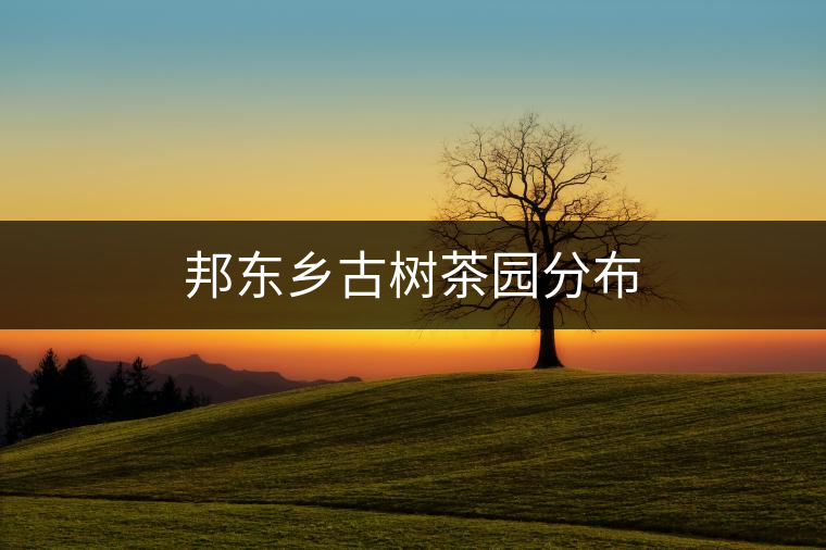 邦東鄉(xiāng)古樹(shù)茶園分布