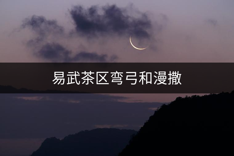 易武茶區(qū)彎弓和漫撒