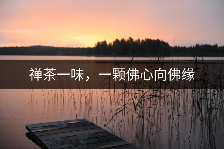 禪茶一味，一顆佛心向佛緣