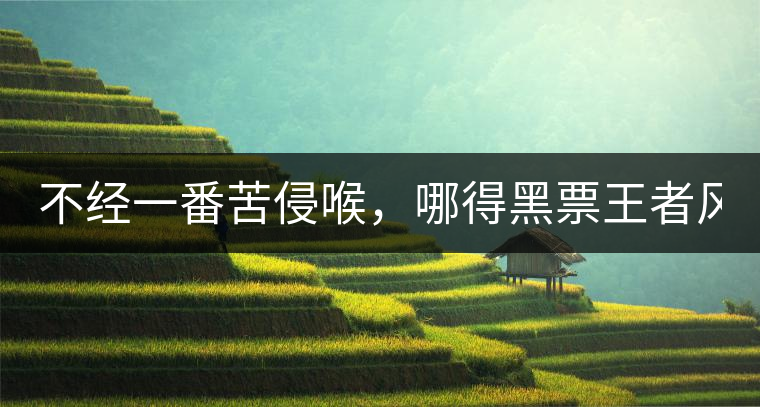 不經(jīng)一番苦侵喉，哪得黑票王者風(fēng)！
