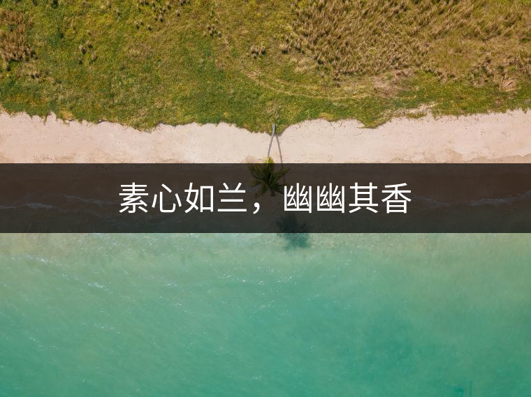 素心如蘭，幽幽其香