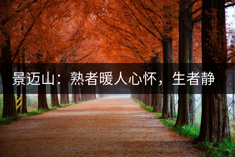 景邁山:熟者暖人心懷,生者靜品歲月 景邁山:熟者暖人心懷,生者靜品歲月