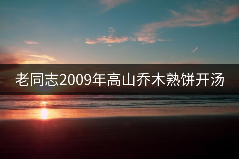 老同志2009年高山喬木熟餅開湯 老同志2009年高山喬木熟餅開湯