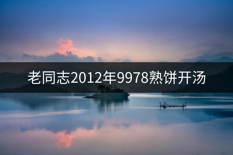 老同志2012年9978熟餅開(kāi)湯