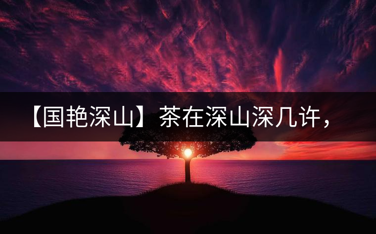 【國艷深山】茶在深山深幾許，布朗味釅釅幾分！