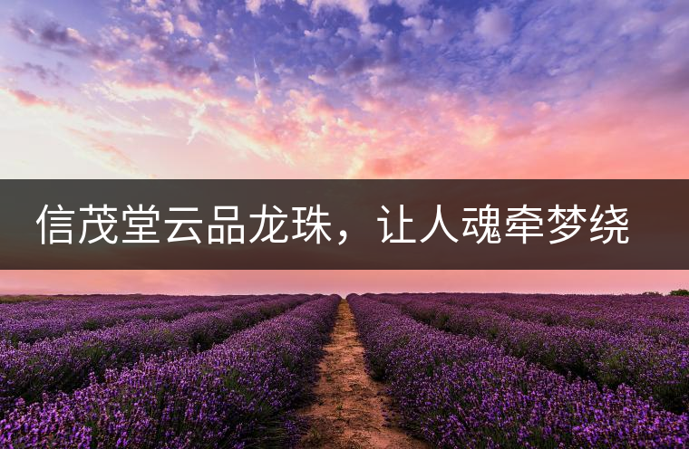 信茂堂云品龍珠，讓人魂牽夢繞的尤物