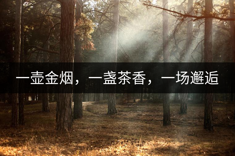 一壺金煙，一盞茶香，一場邂逅