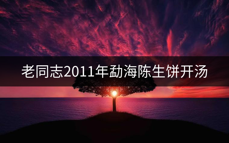 老同志2011年勐海陳生餅開湯