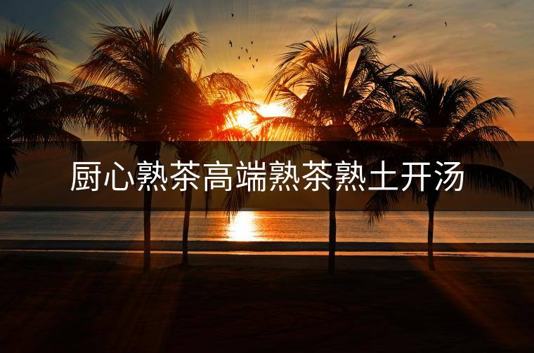 廚心熟茶高端熟茶熟土開湯