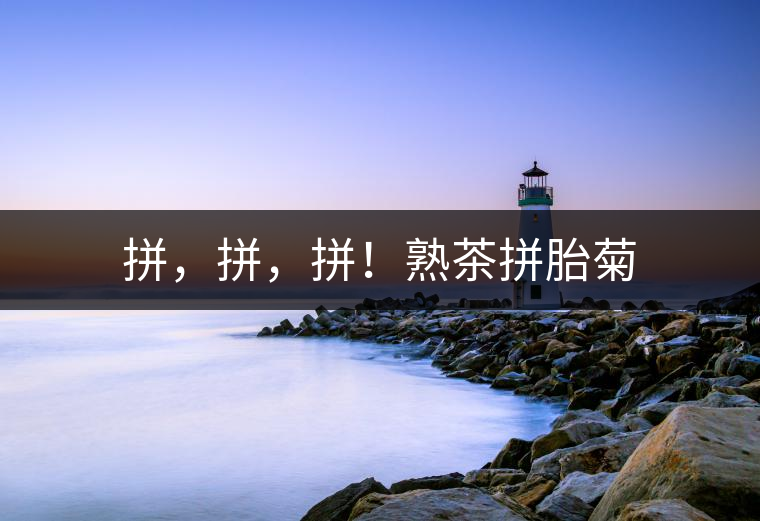 拼，拼，拼！熟茶拼胎菊