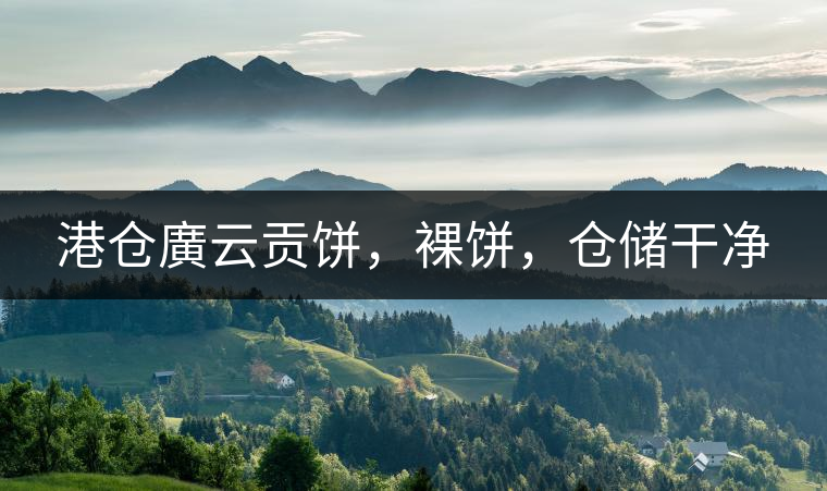 港倉廣云貢餅,裸餅,倉儲干凈 港倉廣云貢餅,裸餅,倉儲干凈