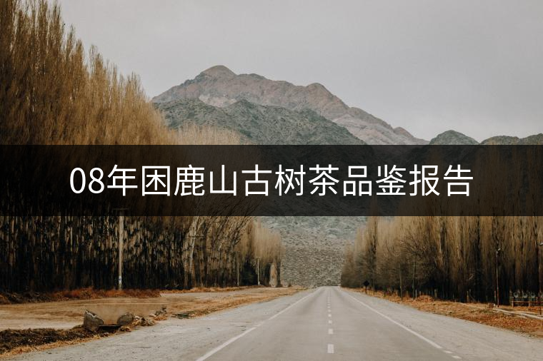 08年困鹿山古樹(shù)茶品鑒報(bào)告