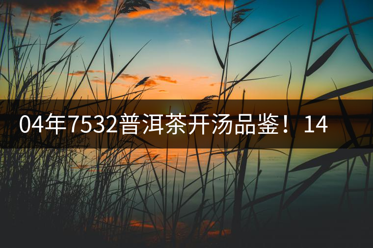 04年7532普洱茶開湯品鑒！14年轉(zhuǎn)化，經(jīng)典雪印配方！