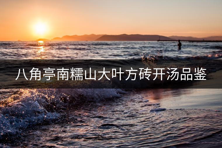 八角亭南糯山大葉方磚開湯品鑒