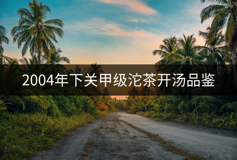 2004年下關(guān)甲級(jí)沱茶開湯品鑒