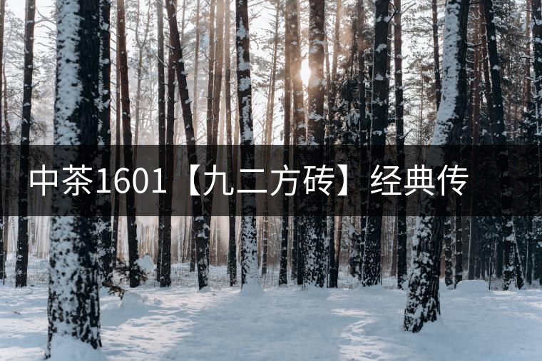 中茶1601【九二方磚】經典傳承，巔峰即現(xiàn)