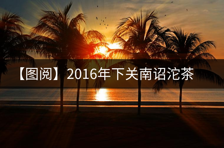 【圖閱】2016年下關(guān)南詔沱茶開湯