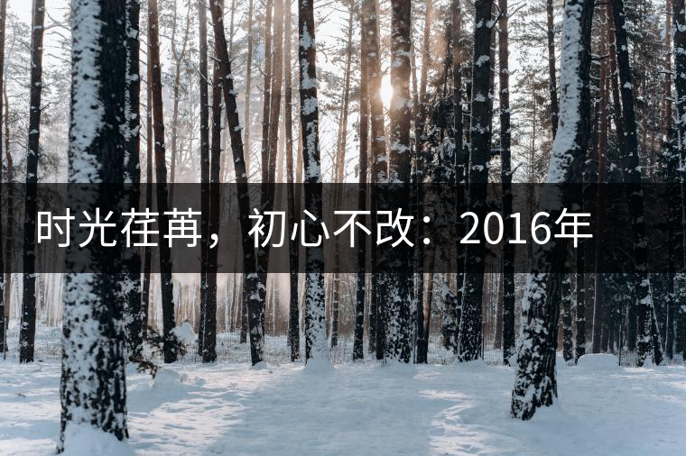 時光荏苒，初心不改：2016年老同志為天下人做好茶開湯