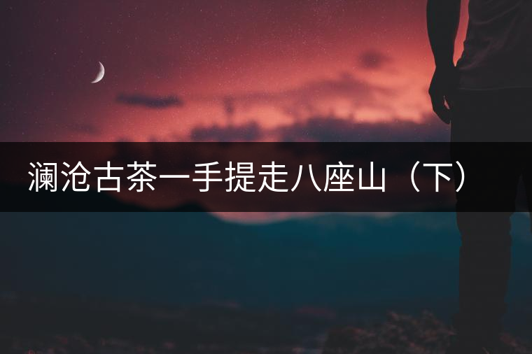 瀾滄古茶一手提走八座山(下)開(kāi)湯品鑒 瀾滄古茶一手提走八座山(下)開(kāi)湯品鑒