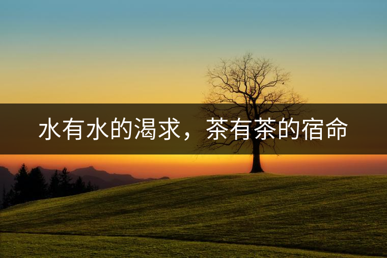 水有水的渴求，茶有茶的宿命
