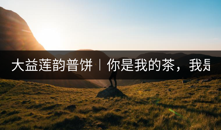 大益蓮韻普餅︱你是我的茶，我是你的人！