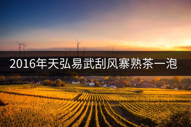 2016年天弘易武刮風(fēng)寨熟茶一泡耐人尋味！