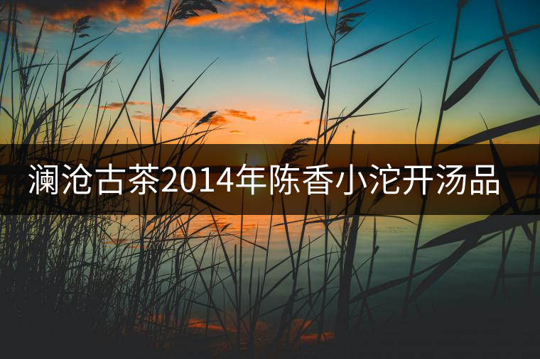 瀾滄古茶2014年陳香小沱開湯品鑒 瀾滄古茶2014年陳香小沱開湯品鑒