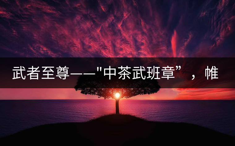 武者至尊—— 武者至尊——