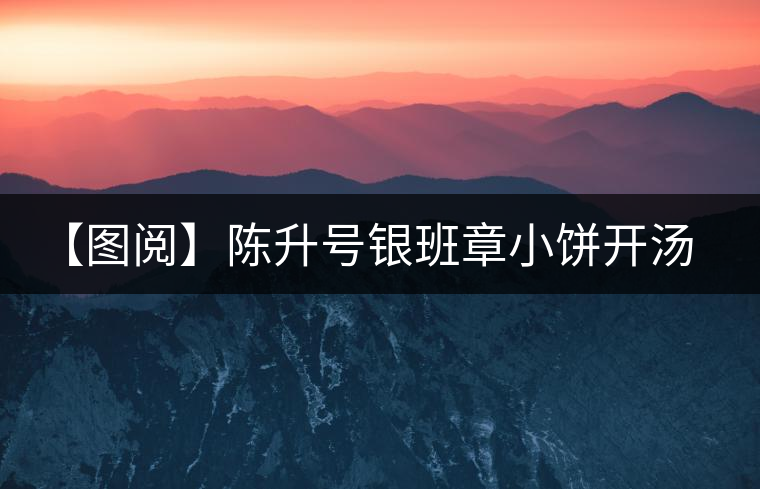 【圖閱】陳升號銀班章小餅開湯品鑒