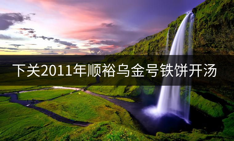 下關(guān)2011年順裕烏金號鐵餅開湯品鑒 下關(guān)2011年順裕烏金號鐵餅開湯品鑒