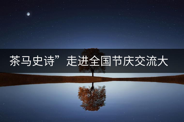 茶馬史詩(shī)”走進(jìn)全國(guó)節(jié)慶交流大會(huì) 茶馬史詩(shī)”走進(jìn)全國(guó)節(jié)慶交流大會(huì)