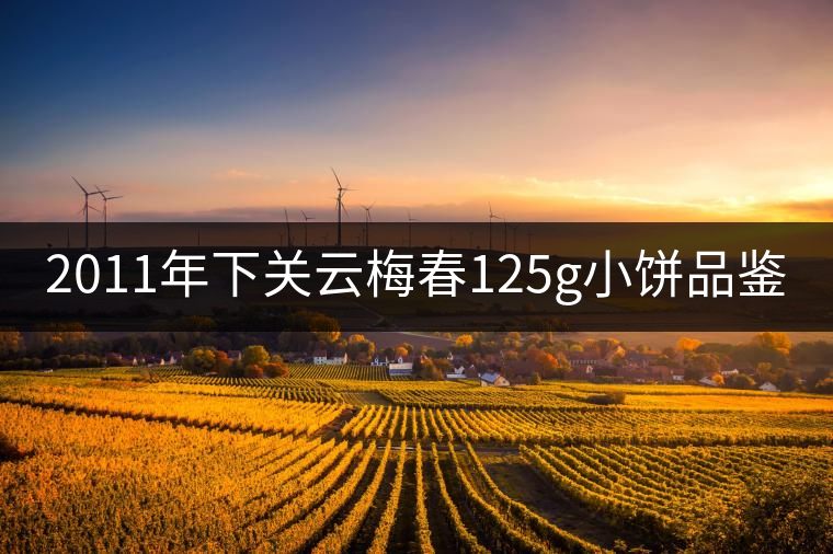 2011年下關云梅春125g小餅品鑒