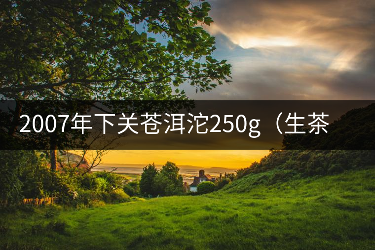 2007年下關(guān)蒼洱沱250g（生茶）品評(píng)