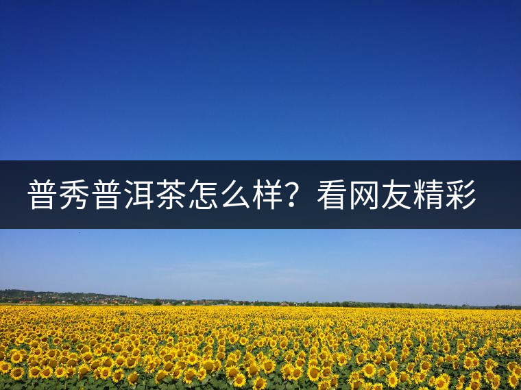 普秀普洱茶怎么樣？看網(wǎng)友精彩回答