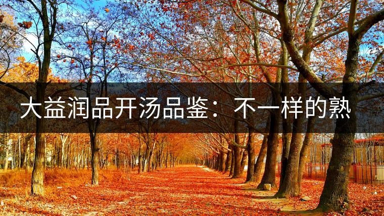 大益潤(rùn)品開(kāi)湯品鑒:不一樣的熟茶 大益潤(rùn)品開(kāi)湯品鑒:不一樣的熟茶