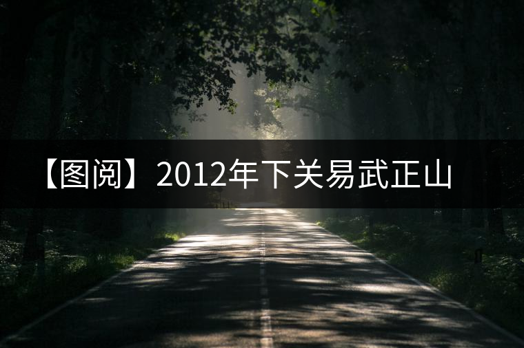 【圖閱】2012年下關易武正山老樹沱鑒賞