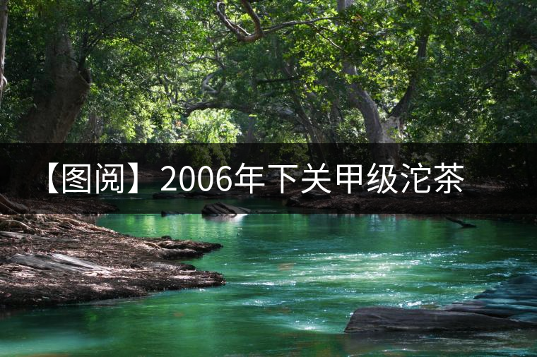 【圖閱】2006年下關甲級沱茶開湯