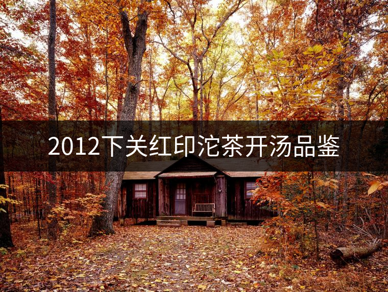 2012下關(guān)紅印沱茶開湯品鑒