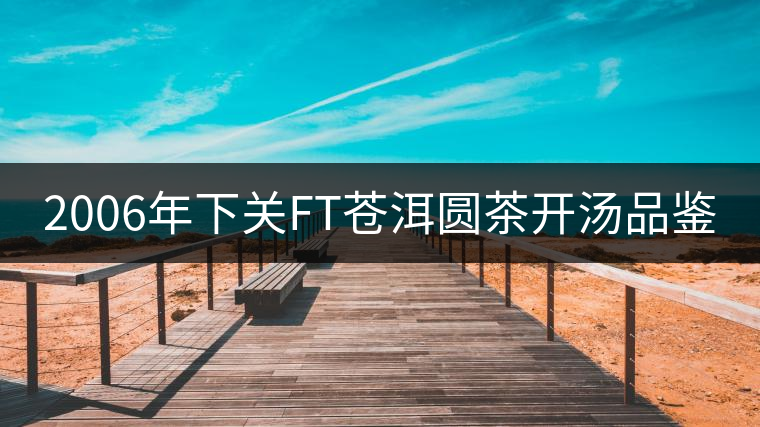 2006年下關(guān)FT蒼洱圓茶開湯品鑒