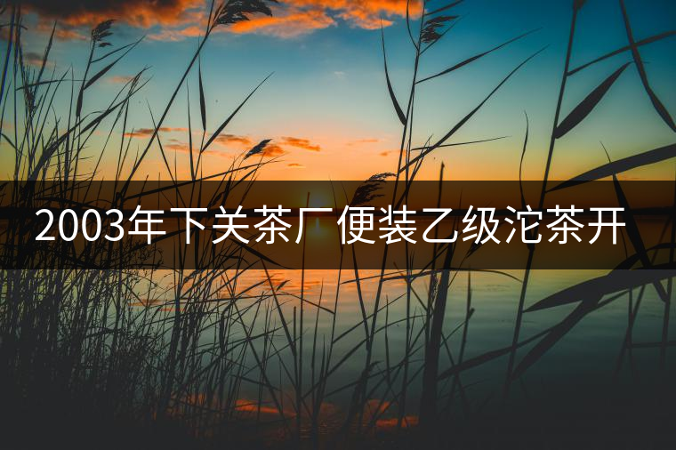 2003年下關(guān)茶廠便裝乙級沱茶開湯品鑒