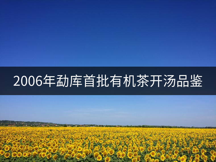 2006年勐庫(kù)首批有機(jī)茶開(kāi)湯品鑒