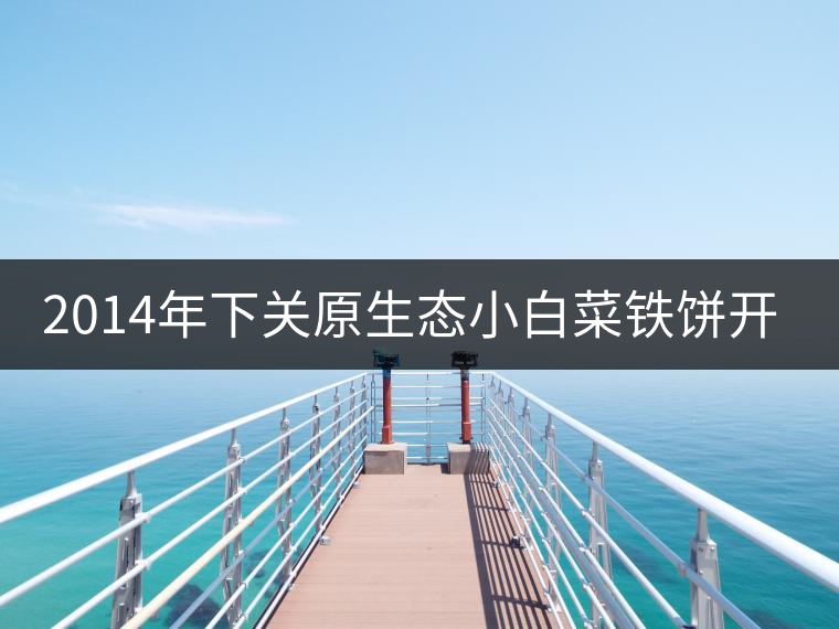 2014年下關原生態(tài)小白菜鐵餅開湯品鑒