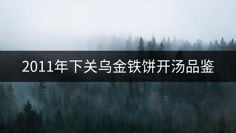 2011年下關(guān)烏金鐵餅開(kāi)湯品鑒 2011年下關(guān)烏金鐵餅開(kāi)湯品鑒