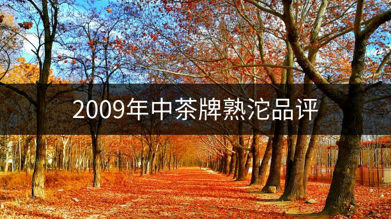 2009年中茶牌熟沱品評