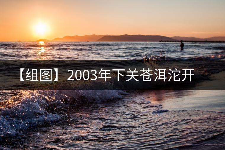 【組圖】2003年下關蒼洱沱開湯