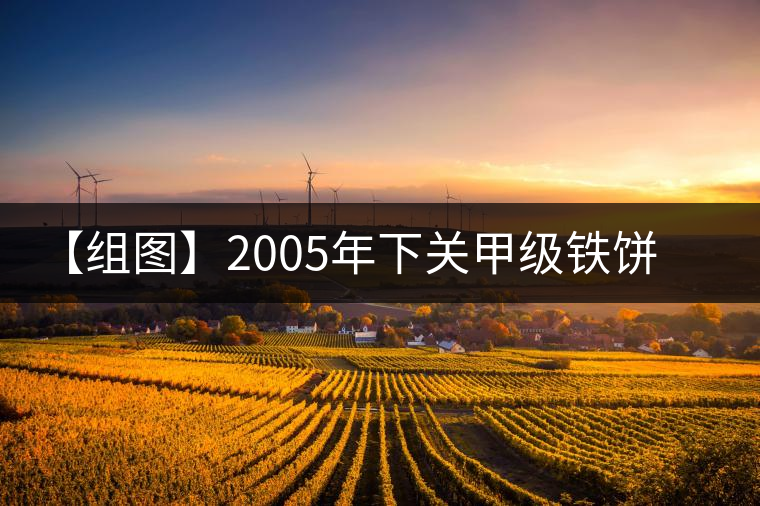 【組圖】2005年下關(guān)甲級(jí)鐵餅開湯