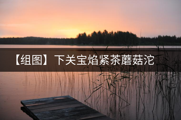 【組圖】下關(guān)寶焰緊茶蘑菇沱開湯 【組圖】下關(guān)寶焰緊茶蘑菇沱開湯