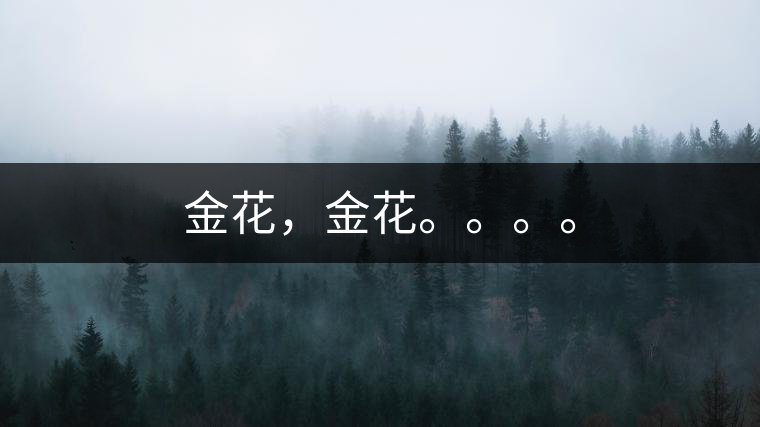 金花，金花。。。。