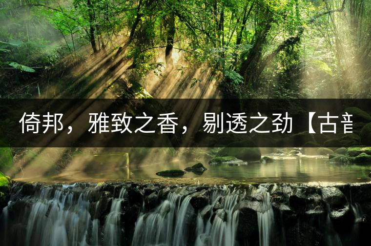 倚邦，雅致之香，剔透之勁【古普十二山品鑒】